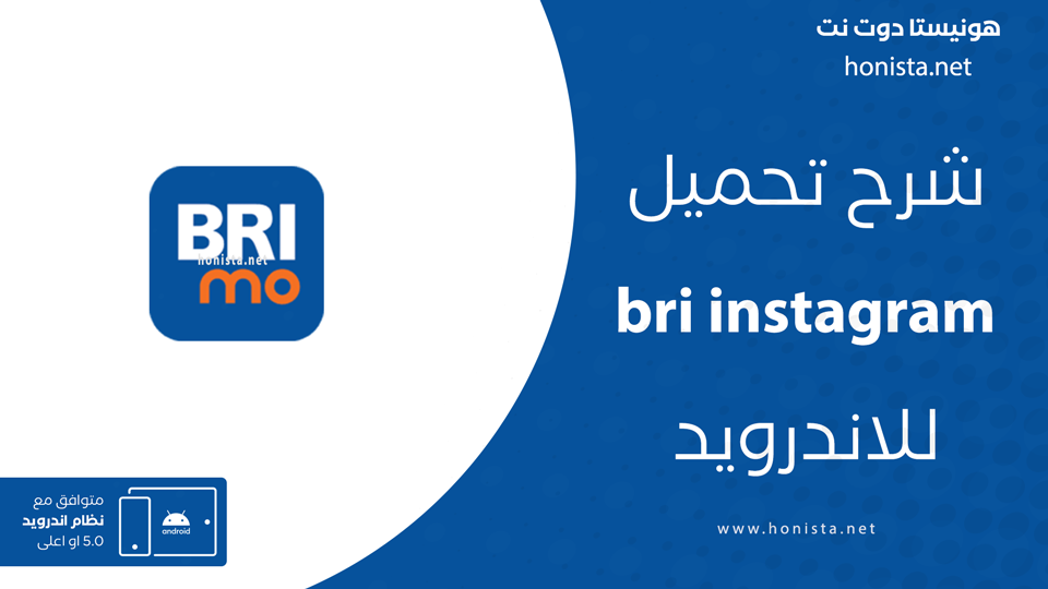 تحميل تطبيق briinstagram